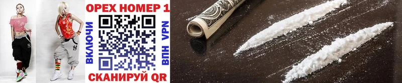 Купить где  Ершов  Cocaine 98% 