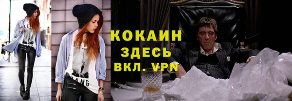 ешки Инта
