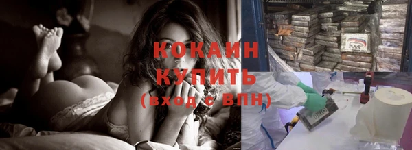 ешки Инта
