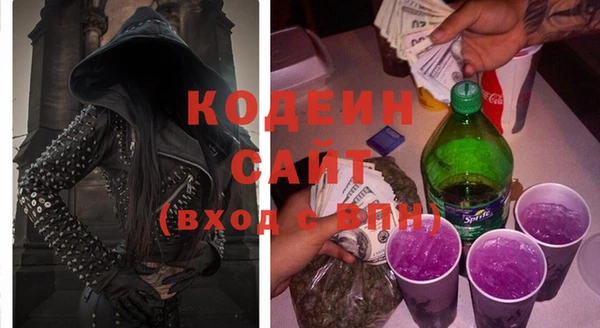 ешки Инта
