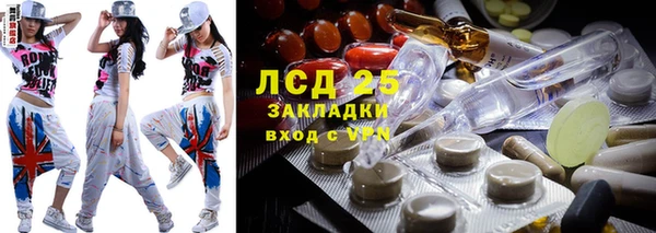 ешки Инта