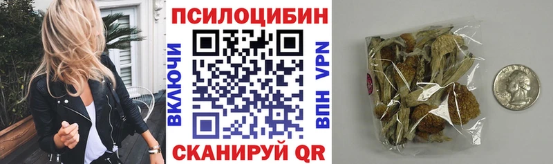 Купить  Ершов  Галлюциногенные грибы Psilocybe 